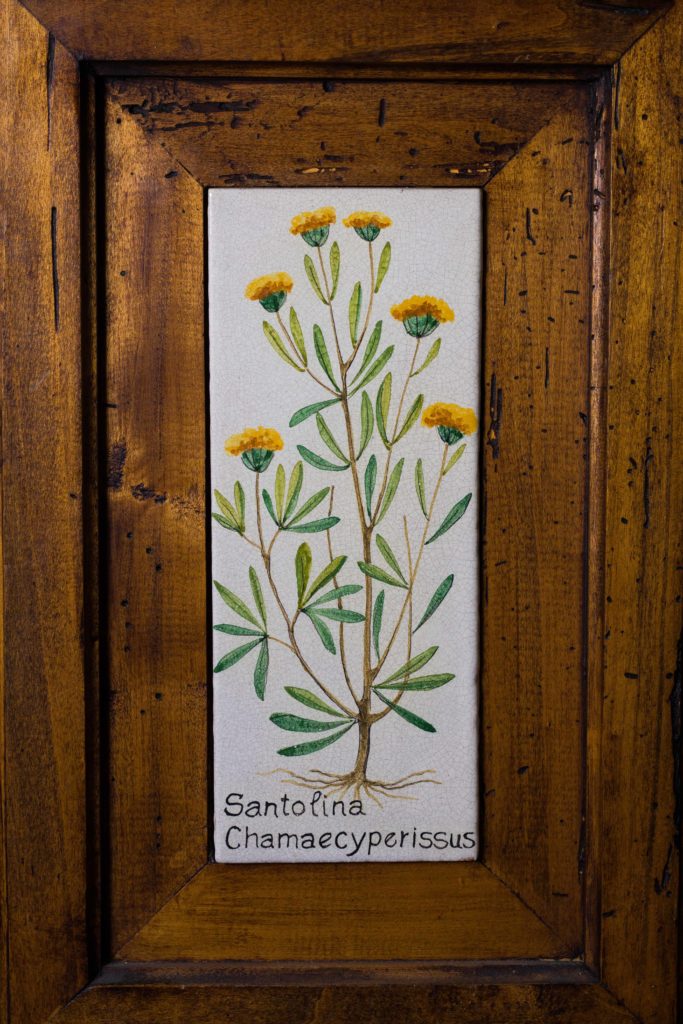 Philosophie, Gesundheit, Kunde, Entwicklung, Sortiment